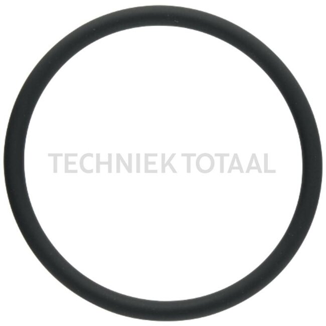 GRANIT Afdichtring voor thermostaathuis, Ø: 65 x 5 mm tot motornr. 10816215 - 38006911, F934201610020