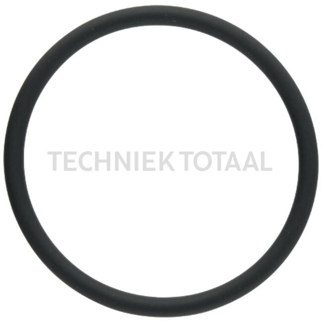 GRANIT Dichtring für Thermostatgehäuse, Ø 65 x 5 mm, bis Motor-Nr. 10816215 - 38006911, F934201610020