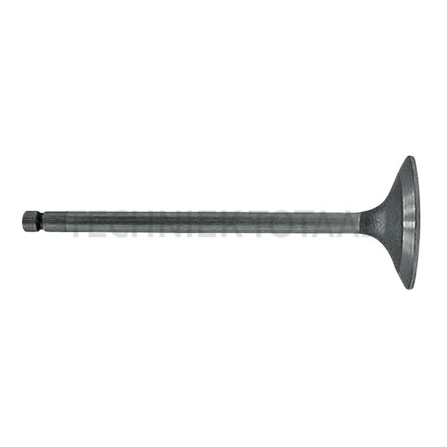 GRANIT Einlassventil Motor Powertech 4045, 6068 John Deere | R98062