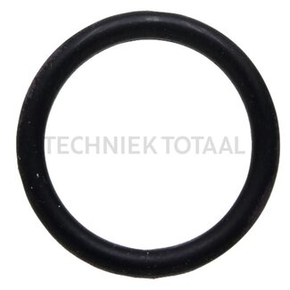 GRANIT O-ring 18.72 x 2.62 mm, voor buis EGR-klep (8012526)