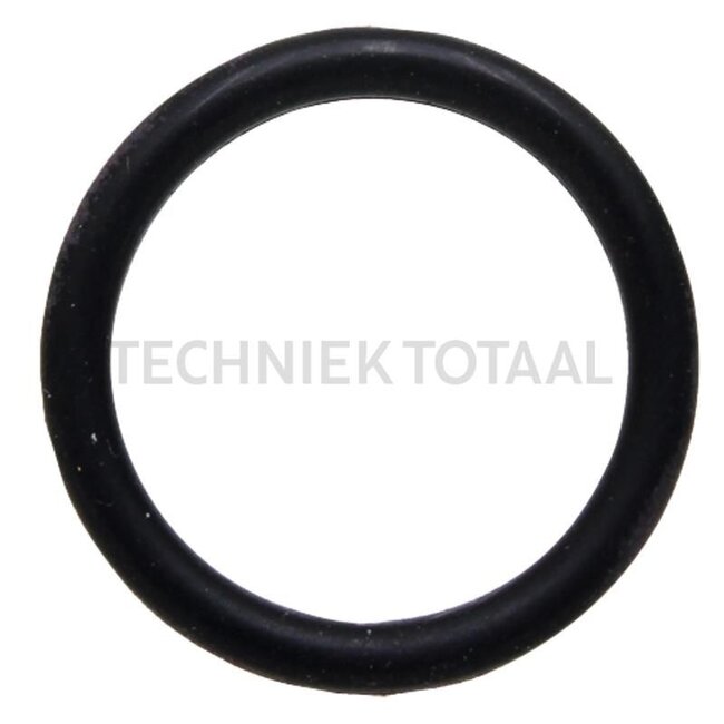 GRANIT O-ring 18.72 x 2.62 mm, voor buis EGR-klep (8012526) - 38012518, R518543 | Omschrĳving: Ø: 18,72 x 2,62 mm | voor leiding EGR klep (38012526)