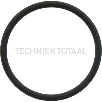 GRANIT O-ring 21,946 x 1,778 mm