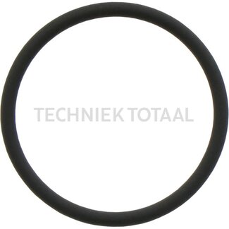 GRANIT O-Ring Einspritzdüse 21,946 x 1,778 mm John Deere