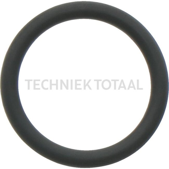 GRANIT O-ring - 38012583, R72328 | Description: Ø 18.72 x 2.61 mm