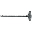 Einlassventil Motor Standard 23C Massey Ferguson | 1884123M1, 826168M1
