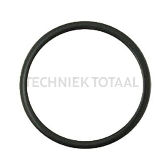 GRANIT O-Ring Thermostat Fiat Serie 66 - 1380, R 450