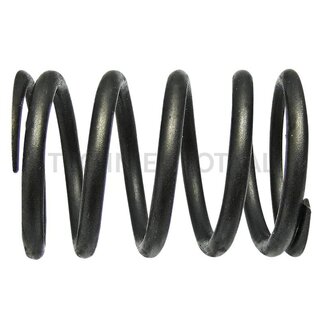 GRANIT Valve spring
