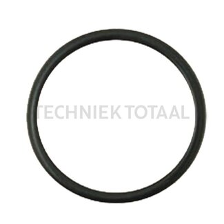 GRANIT O-ring thermostaat voor cilinderbus onder 116 x 4 mm