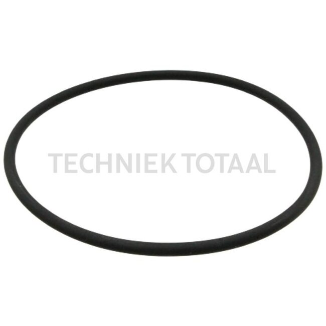 Sealing ring for fuel filter - 4901969