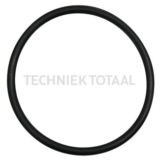 GRANIT O-ring thermostaat Case IH