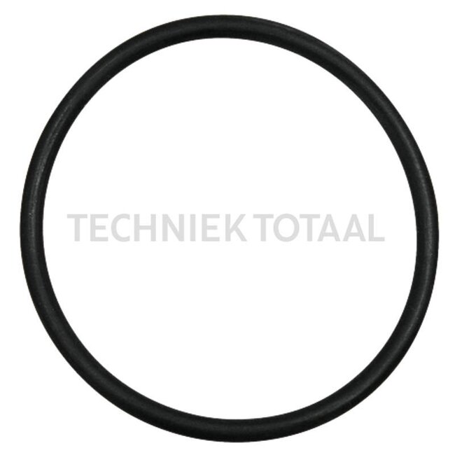 GRANIT O-ring, 10 stuks - 74702044510121, 2385227, I510121