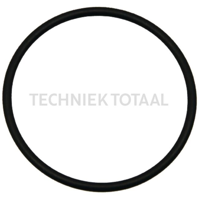 GRANIT O-Ring - 74702408, R541830