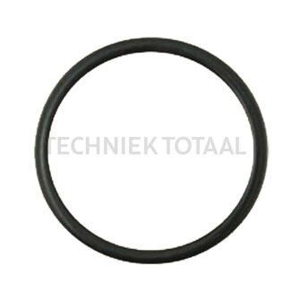 GRANIT O-ring - Dimensions (mm): 48 x 5. Engine type: BF6M1013E-C