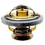 Thermostat Ø 54 mm, Deutz-Fahr, Lamborghini