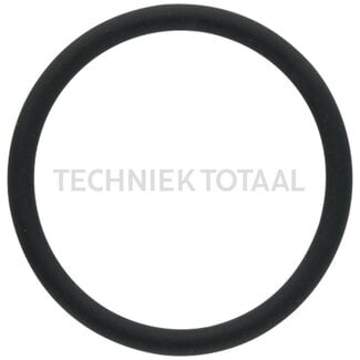 Dichtring Ø 31 x 3 mm Fendt