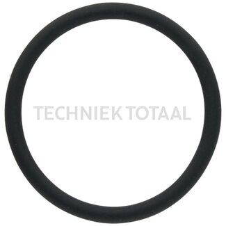 GRANIT Dichtring Ø 31 x 3 mm Fendt