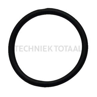 GRANIT O-ring 25,07 x 2,62 mm Fiat