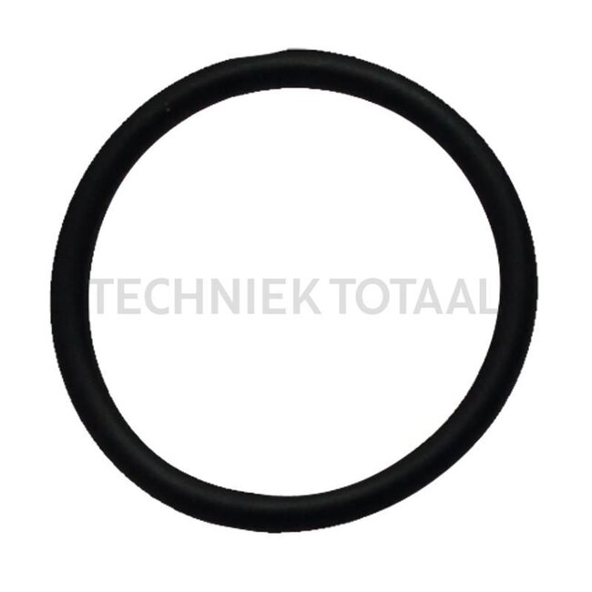 GRANIT O-ring - 74707006, 14457880, 9672549, I9672549 | Dimensions: 25.07 x 2.62 mm