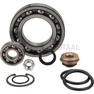 GRANIT Reparatursatz Wasserpumpe Massey Ferguson 3670-8460