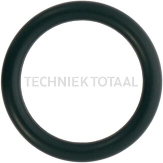 GRANIT O-Ring Wasserpumpe Valtra-Valmet T 133 - T 213, HiTech 8950