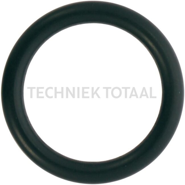 GRANIT O-Ring - 74715847, V614602950, 6219993M1