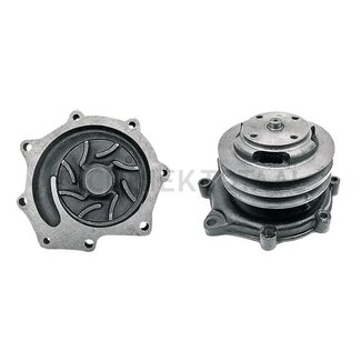 GRANIT Wasserpumpe mit Doppelriemenscheibe und Dichtung Ford, New Holland