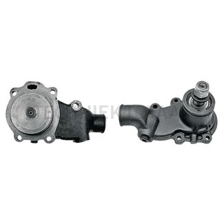 GRANIT Water pump with pulley and seal
