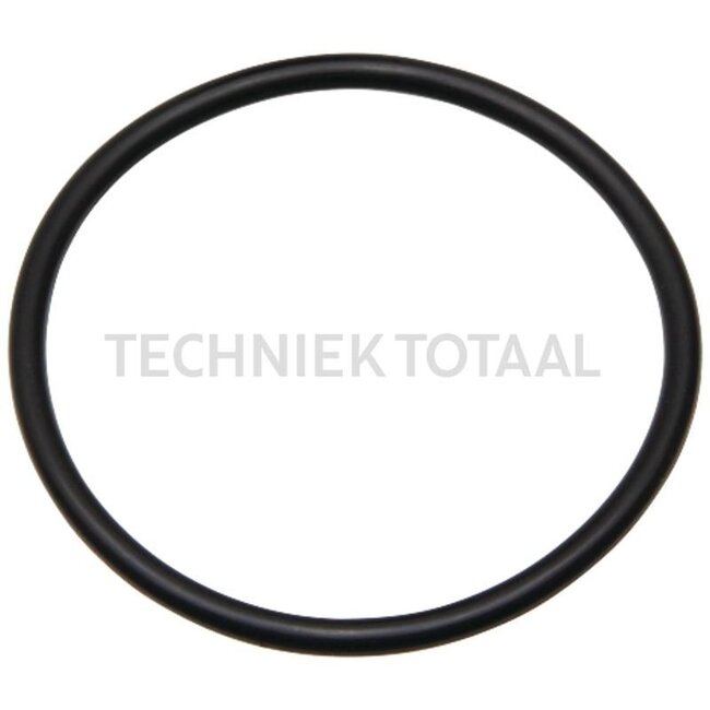 GRANIT O-ring, 100 stuks - 380120190R128799 | Omschrĳving: voor flens