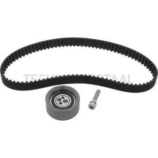 GRANIT Reparatursatz V-Riemen mit Spannrolle Deutz Motor 1011, 1011F