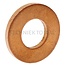 Yanmar Nozzle sealing ring Yanmar L40-L100