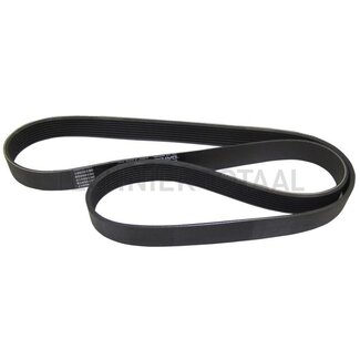 Dayco Ribbed belt