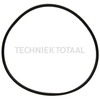 O-Ring Differential links 101 x 3 mm Fendt