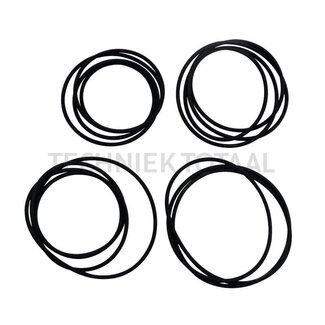 GRANIT O-Ring Hinterachse Massey Ferguson 2620-3680