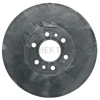 GRANIT Bremsscheibe Innenlüftung Ø 262 mm, Stärke 31 mm, für Kardanwelle Fendt