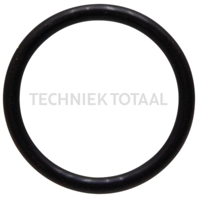 GRANIT O-ringen Ø: 46,99 x 5,33 mm - 71712114, F1056R