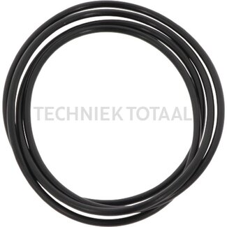 GRANIT Dichtung Fußbremse Ø 355,19 x 3,53 mm Massey Ferguson 2625 - 6255