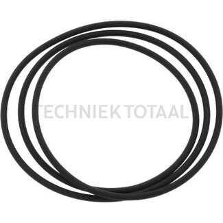 GRANIT Dichtung Fußbremse Ø 312 x 4 mm Massey Ferguson 2625 - 6255
