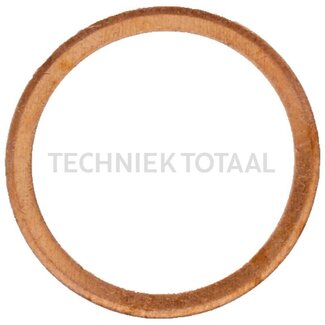 ZF Dichtung ZF Getriebe Ø 22 x 27 mm Lamborghini R6.190 VRT