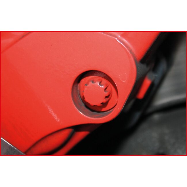 KS Tools Speciale dopsleutelset voor remklauwbouten - 12 - delig - 150.2400