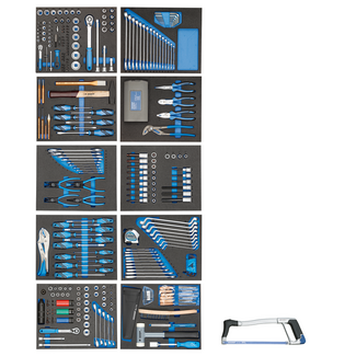 Gedore Gereedschapsassortiment 308-delig in Check-Tool-modules