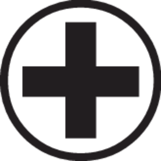 Gedore Torsions-Bit-Satz Kreuzschlitz PH 2, Länge 70 mm