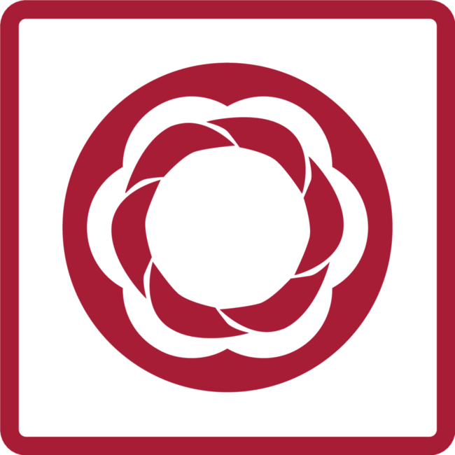 Gedore RED Spiralnuten-Ausdrehersatz 1/2" SW 10-19 mm 10-teilig für beschädigte Schrauben und Muttern, Koffer - R68003010