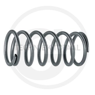 Walterscheid Compression spring