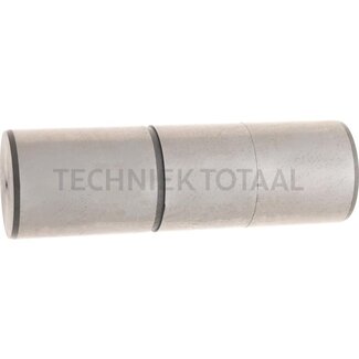 ZF Bolzen