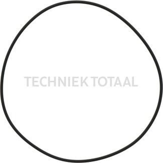 ZF Naben-Kit: Wellendichtring, O-Ring