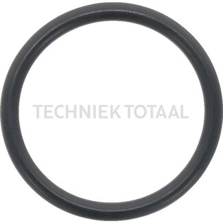 ZF O-Ring