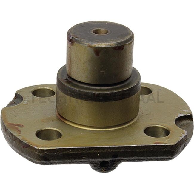 Carraro Fuseelagerpen (17 boven - 419128904, 85805980, 133741671, 133741681, 122265A1, 6000103502, 128904