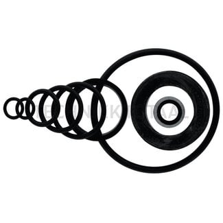 Seal kit hydraulic steering Massey Ferguson Series 100-282