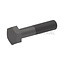 ZF Sicherungsschraube - 5450636010665, 0636.010.665