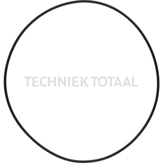 ZF O-Ring